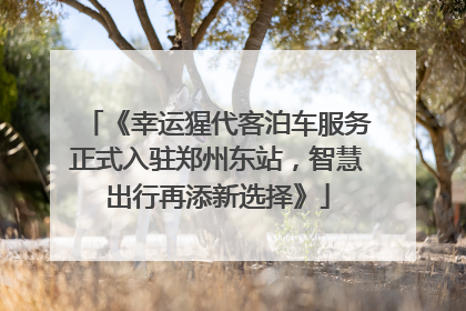 《幸运猩代客泊车服务正式入驻郑州东站，智慧出行再添新选择》