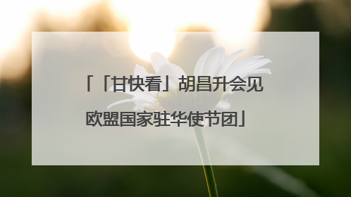 「甘快看」胡昌升会见欧盟国家驻华使节团