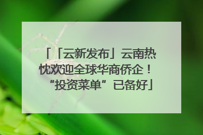 「云新发布」云南热忱欢迎全球华商侨企！“投资菜单”已备好