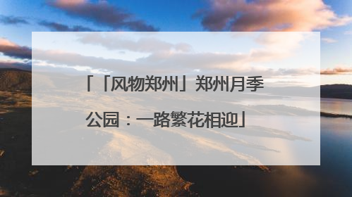 「风物郑州」郑州月季公园：一路繁花相迎