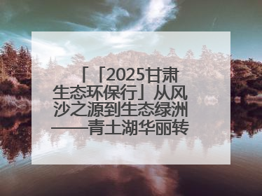 「2025甘肃生态环保行」从风沙之源到生态绿洲——青土湖华丽转身书写生态新篇