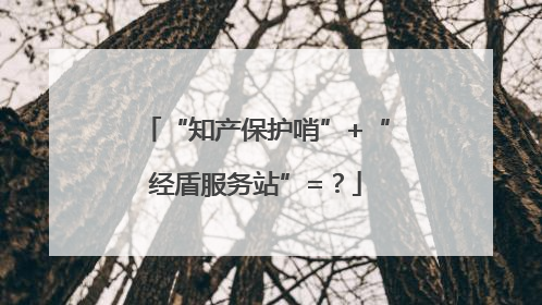 “知产保护哨”+“经盾服务站”=？