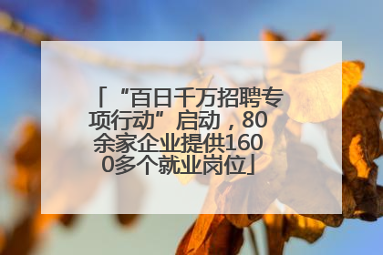 “百日千万招聘专项行动”启动，80余家企业提供1600多个就业岗位