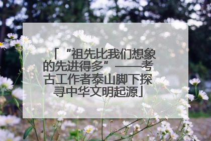 “祖先比我们想象的先进得多”——考古工作者泰山脚下探寻中华文明起源