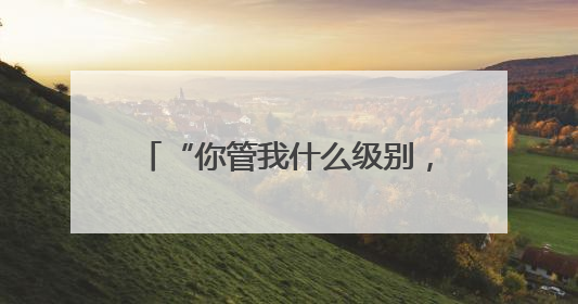 “你管我什么级别，我能抓你的级别！”