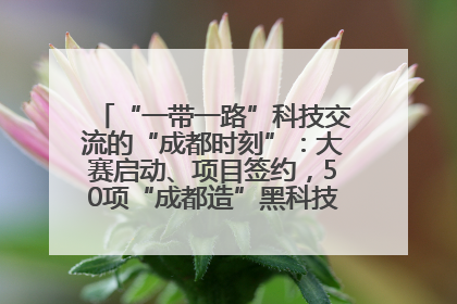 “一带一路”科技交流的“成都时刻”：大赛启动、项目签约，50项“成都造”黑科技吸引多国客商