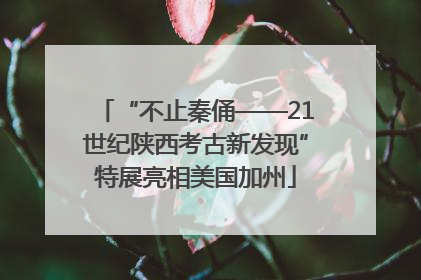 “不止秦俑——21世纪陕西考古新发现”特展亮相美国加州