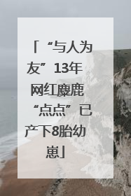 “与人为友”13年 网红麋鹿“点点”已产下8胎幼崽