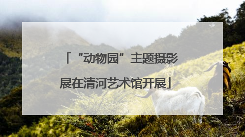 “动物园”主题摄影展在清河艺术馆开展