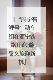 “周宁有鲤号”动车组在衢宁铁路开跑 避暑文旅迎新机