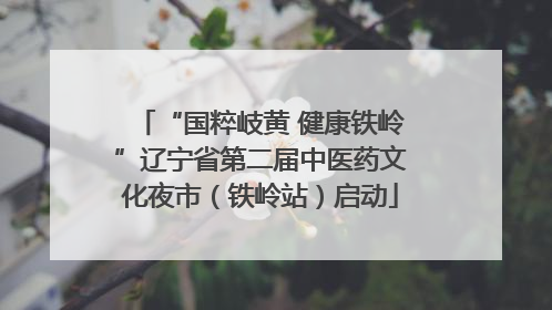 “国粹岐黄 健康铁岭”辽宁省第二届中医药文化夜市（铁岭站）启动