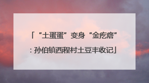 “土蛋蛋”变身“金疙瘩”：孙伯镇西程村土豆丰收记