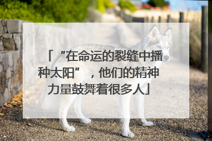 “在命运的裂缝中播种太阳”，他们的精神力量鼓舞着很多人