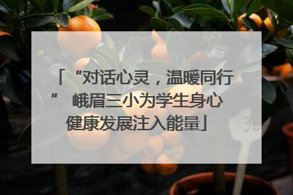 “对话心灵，温暖同行” 峨眉三小为学生身心健康发展注入能量