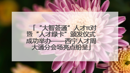 “大智荟通”人才π对暨“人才绿卡”颁发仪式成功举办——西宁人才周大通分会场亮点纷呈