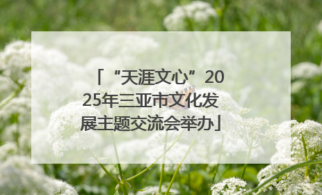 “天涯文心”2025年三亚市文化发展主题交流会举办