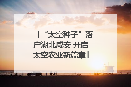 “太空种子”落户湖北咸安 开启太空农业新篇章