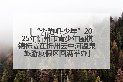“奔跑吧·少年”2025年忻州市青少年围棋锦标赛在忻州云中河温泉旅游度假区圆满举办