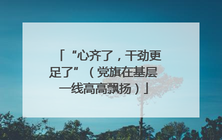 “心齐了，干劲更足了”（党旗在基层一线高高飘扬）