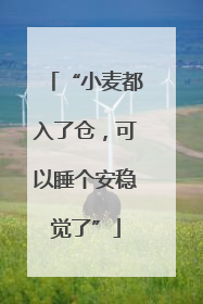 “小麦都入了仓，可以睡个安稳觉了”