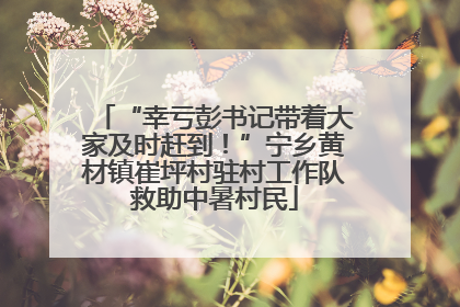 “幸亏彭书记带着大家及时赶到！”宁乡黄材镇崔坪村驻村工作队救助中暑村民