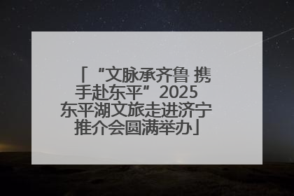 “文脉承齐鲁 携手赴东平”2025东平湖文旅走进济宁推介会圆满举办