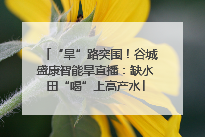 “旱”路突围！谷城盛康智能旱直播：缺水田“喝”上高产水