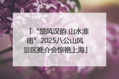 “楚风汉韵 山水淮南”2025八公山风景区推介会惊艳上海