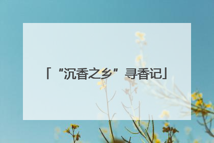 “沉香之乡”寻香记