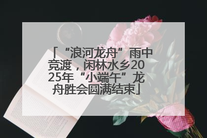 “浪河龙舟”雨中竞渡，闲林水乡2025年“小端午”龙舟胜会圆满结束