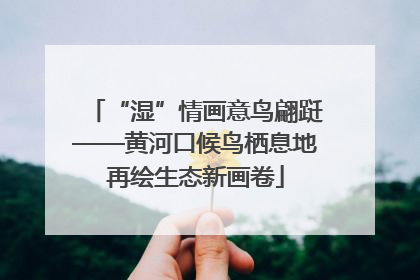 “湿”情画意鸟翩跹——黄河口候鸟栖息地再绘生态新画卷