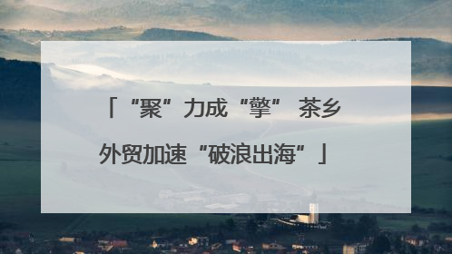 “聚”力成“擎” 茶乡外贸加速“破浪出海”