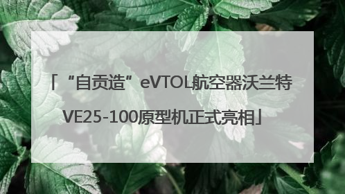“自贡造”eVTOL航空器沃兰特VE25-100原型机正式亮相