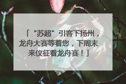 “苏超”引客下扬州，龙舟大赛等着您，下周末来仪征看龙舟赛！