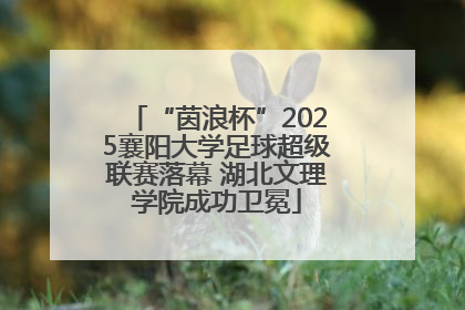 “茵浪杯”2025襄阳大学足球超级联赛落幕 湖北文理学院成功卫冕