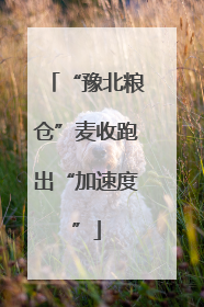 “豫北粮仓”麦收跑出“加速度”
