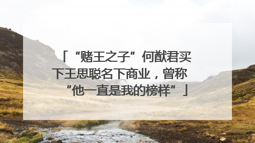“赌王之子”何猷君买下王思聪名下商业，曾称“他一直是我的榜样”