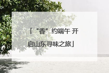 “香”约端午 开启山东寻味之旅