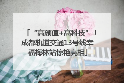 “高颜值+高科技”！成都轨道交通13号线幸福梅林站惊艳亮相