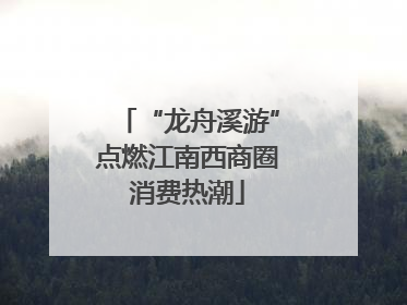 “龙舟溪游”点燃江南西商圈消费热潮