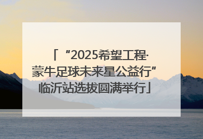 “2025希望工程·蒙牛足球未来星公益行”临沂站选拔圆满举行