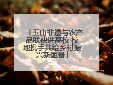 玉山非遗与农产品联袂进高校 校地携手共绘乡村振兴新图景