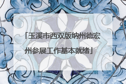 玉溪市西双版纳州德宏州参展工作基本就绪