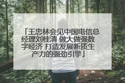 王忠林会见中国电信总经理刘桂清 做大做强数字经济 打造发展新质生产力的强劲引擎
