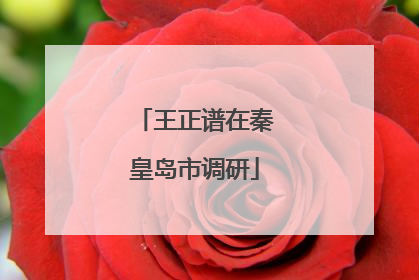 王正谱在秦皇岛市调研