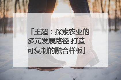 王超：探索农业的多元发展路径 打造可复制的融合样板