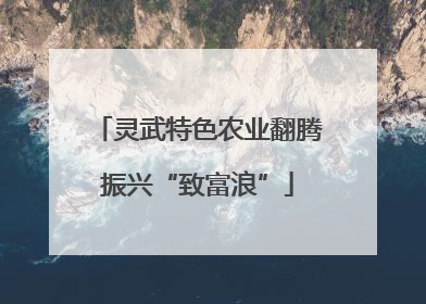 灵武特色农业翻腾振兴“致富浪”