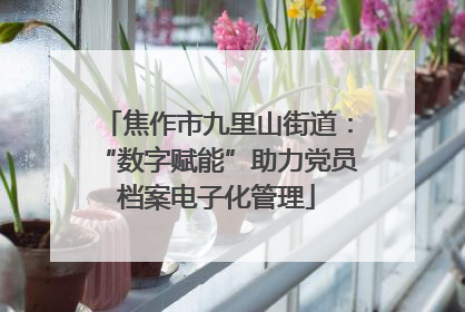 焦作市九里山街道：“数字赋能”助力党员档案电子化管理