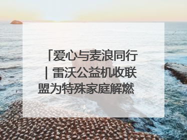 爱心与麦浪同行｜雷沃公益机收联盟为特殊家庭解燃“麦”之急