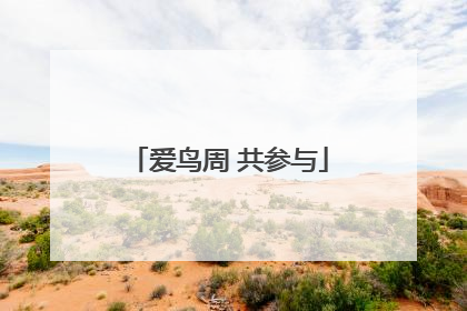 爱鸟周 共参与
